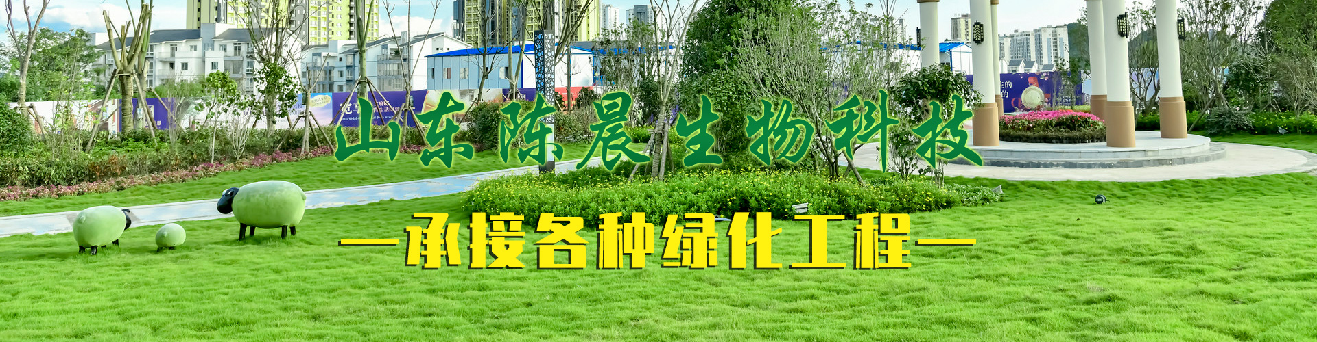 山东陈晨生物科技有限公司